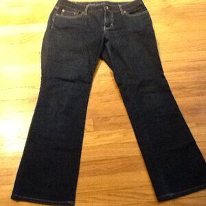 Banana Republic Curvy Boot Dark Wash Jeans